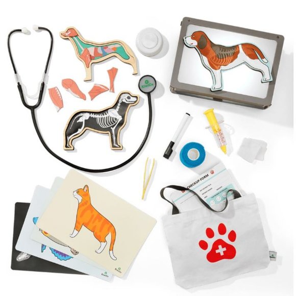 KiwiCo Kiwi Crate Science Kit Veterinarian Doctor's set X-ray lightbox Anatomy M - Picture 10 of 16